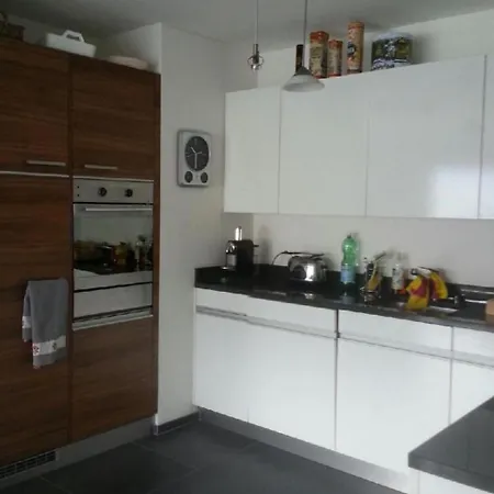 Apartmán An Traumlage Mit Tessinerflair By Interhome Gambarogno